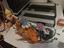 Immagine 1