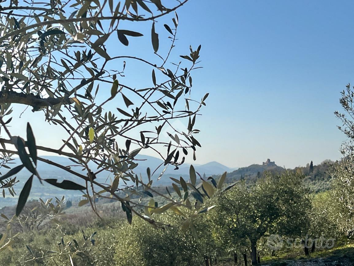 TER. AGRICOLO A ASSISI - Vista 3