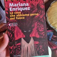 Le cose.che abbiamo perso nel fuoco