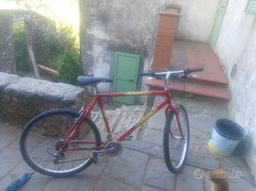bicicletta 