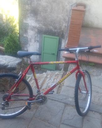 bicicletta 