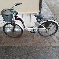 bicicletta elettrica 