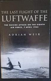 Last Flight of the Luftwaffe