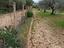 Immagine 15