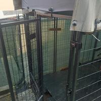 box  per cani
