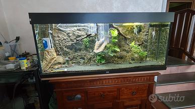 acquario juwel 240