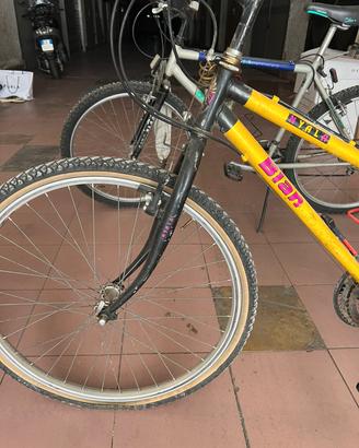 bici da donna marca bianchi