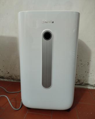 Deumidificatore elettrico 