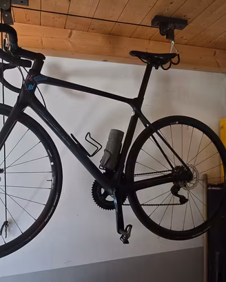 bici giant