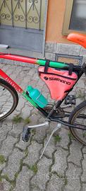 Montain Bike usata