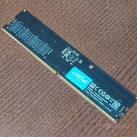 Ddr5 16gb crucial 5600