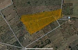 Terreno agricolo con abitazione