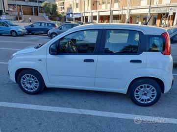 FIAT Panda 3ª serie - 2020