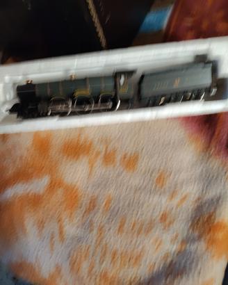 divertimento x bambini adulti