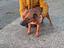 Immagine 4