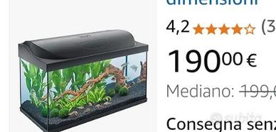 Acquario pesci tropicali