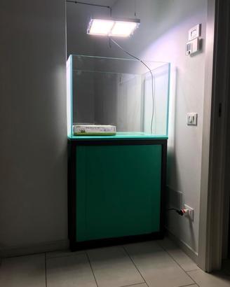 Acquario  in vetro extrachiaro + supporto