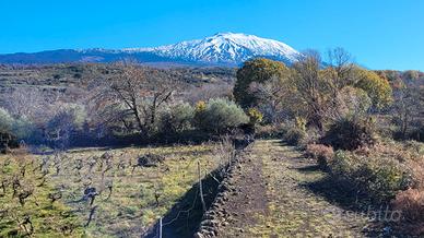Bronte zona Maletto terreno 5400mq