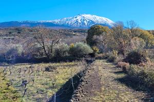 Bronte zona Maletto terreno 5400mq