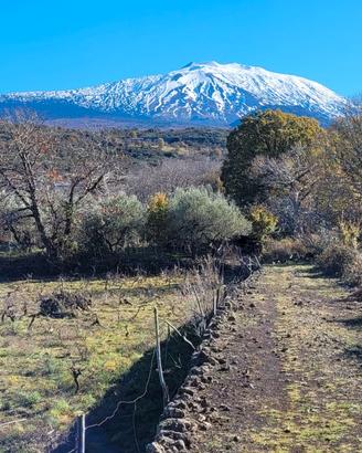 Bronte zona Maletto terreno 5400mq