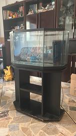 Acquario aperto con mobiletto