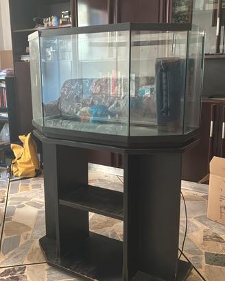 Acquario aperto con mobiletto