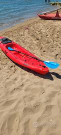kayak shark 1