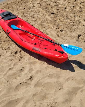 kayak shark 1