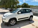 fiat-panda-1-3-mjt-s-s-4x4-antartica