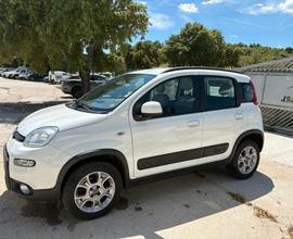 Fiat Panda 1.3 MJT S&S 4x4 Antartica