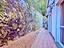 Immagine 24