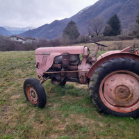 Trattori SAME A 1000EURO L'UNO