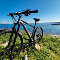 specialized rockhopper 29 tgM