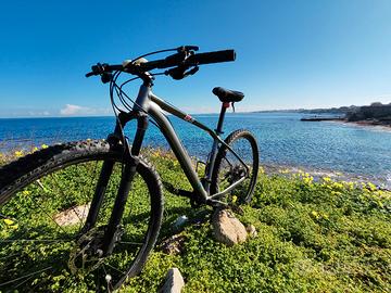 specialized rockhopper 29 tgM