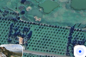 Terreno vicino golf club gavorrano