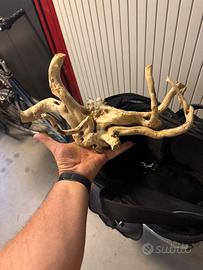 Legno per qcquari