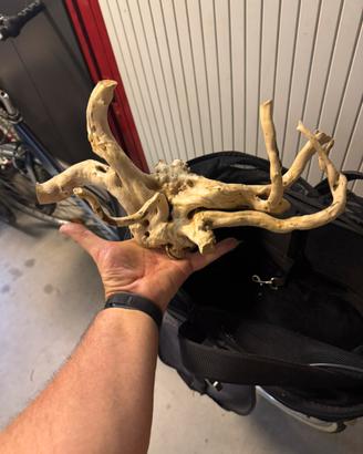 Legno per qcquari