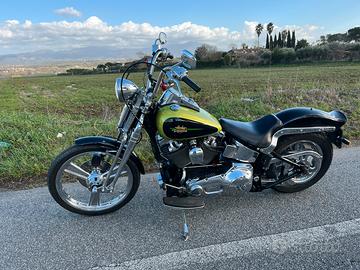 Harley Davidson springer