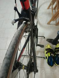 wilier  triestina