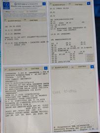 Furgone iveco/fiat 6 posti