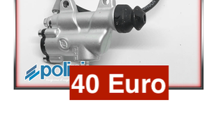 RICAMBI MINIMOTO POLINI