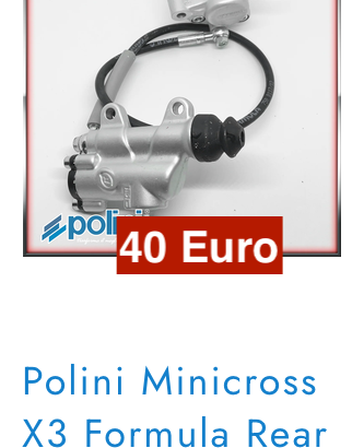 RICAMBI MINIMOTO POLINI