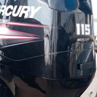 Mercury 100 EFI iniezione 