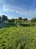 ter-residenziale-a-campo-san-martino