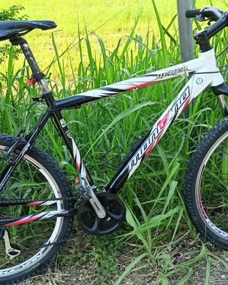 MTB Bicicletta MONTANA