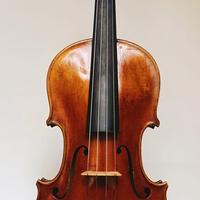 Violino 4/4 Liuteria 