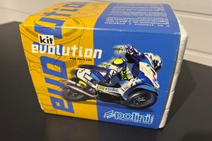 Gruppo termico Polini Evolution 1 per Minarelli