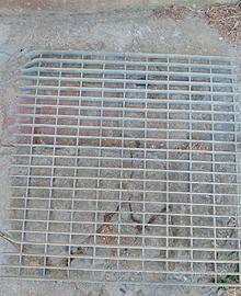 Griglia zincata 