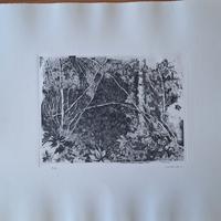 Incisione Gianni Ambrogio 