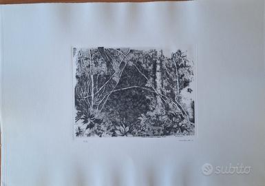 Incisione Gianni Ambrogio 